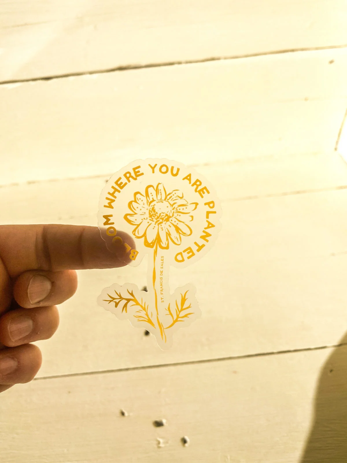 CLEAR- "Bloom where you are planted"- St. Francis De Sales, Sticker CLEAR - Image 3