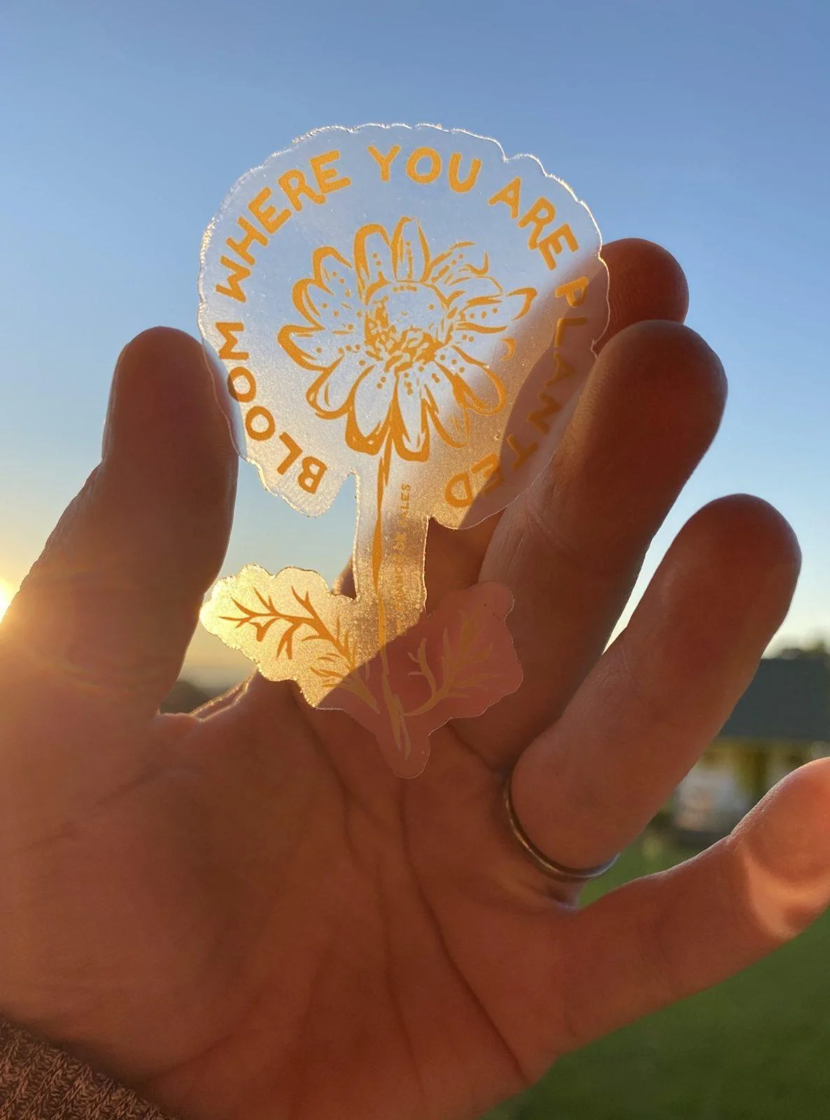 CLEAR- "Bloom where you are planted"- St. Francis De Sales, Sticker CLEAR - Image 2